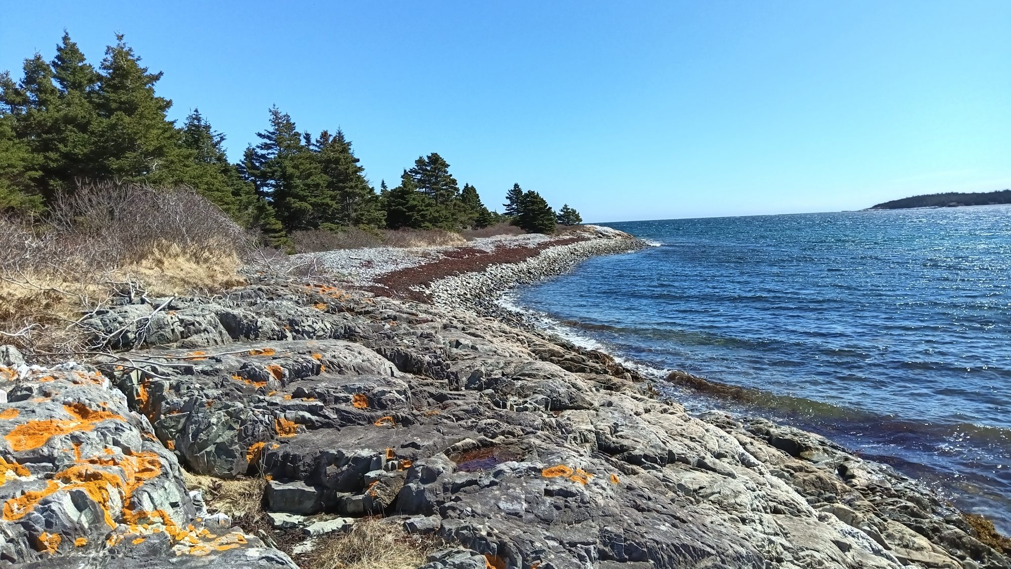 Costa rocosa con bosque boreal en Betsy Complex